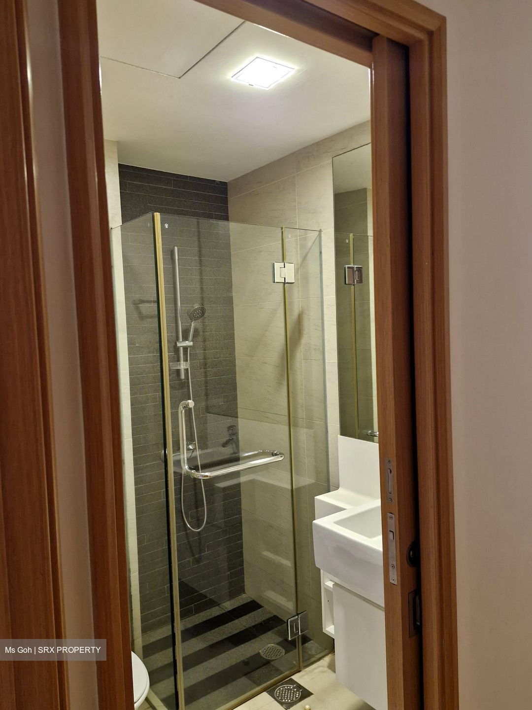 Park Infinia At Wee Nam (D11), Condominium #604284281